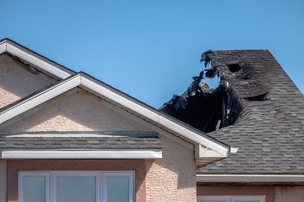 Top rated local Fire Damage Removal specialists in Chisago City, MN